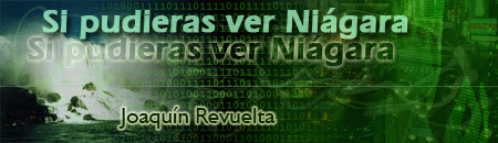 Si pudiras ver Nigara, de Joaqun Revuelta